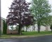 Capital Woods